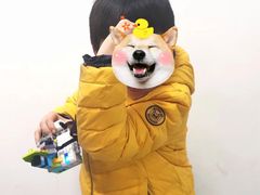 -蓝精灵创客少儿编程(百步亭中心)