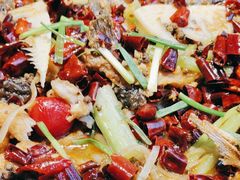 -老板恋上鱼(恒隆广场店)