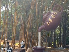-金山植物公园