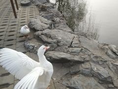 -团结湖公园