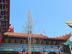 -长沙黑麋峰国家森林公园