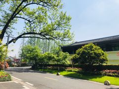 -杭州雅谷泉山庄酒店-餐厅