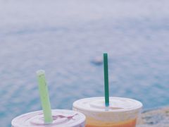 -南澳岛打卡果汁冰公司