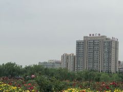 -廊坊文化艺术中心