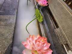 -徽镇小厨·经典徽菜(十里河店)