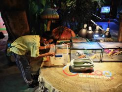 -酷嗒动物文化乐园(cutezoo西溪乐天城店)