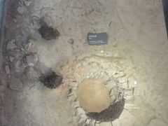 -南越王博物院(王宫展区)