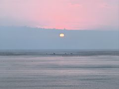 -北岐滩涂