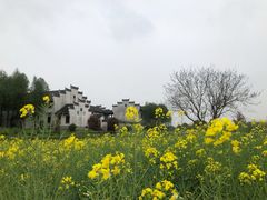 -宁波杭州湾国家湿地公园
