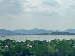 -湖畔居茶楼(湖滨店)