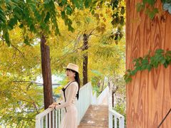 -丽泽山庄·生态怀柔菜·虹鳟鱼(红螺寺店)