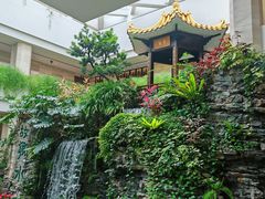 -白天鹅宾馆-宏图府餐厅