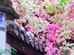 -深圳国际园林花卉博览园