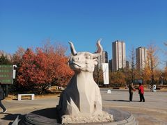 -永定河休闲森林公园