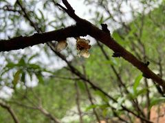 -南国桃园旅游度假区