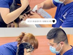 -伟伟宠物医院·CT影像中心·瑞派犬猫综合性门诊(汉口总院)