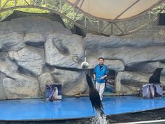 -泉州海丝野生动物世界