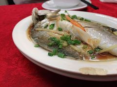 -蛇口康乐快餐鱼仔档(翠苑小区店)