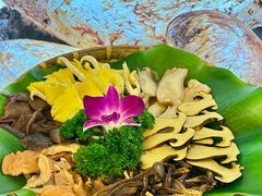 -大理董·董家小厨野生菌火锅(古城旗舰店)