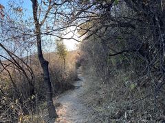 -北京西山国家森林公园