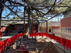 -红螺寺