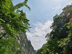 -青峰峡国家森林公园