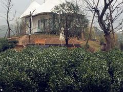 IMG_6862-帐篷客·溪龙茶谷度假酒店