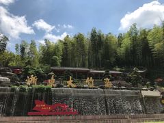 -宁波浙东大竹海景区