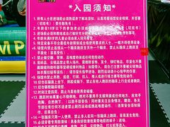 -嘿哟动霸CHUA·新潮玩运动娱乐中心·蹦床滑冰团建乐园