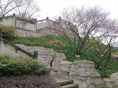 -重庆彩云湖湿地公园