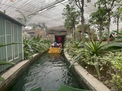 -南宫五洲植物乐园