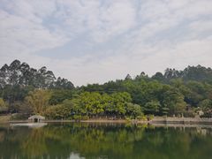 -三水森林公园