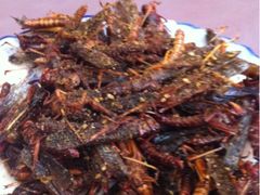 iphone_upload_pic-乡村农家院