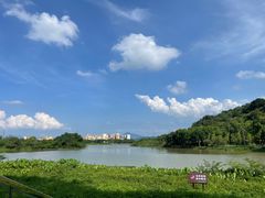 -风云岭森林公园