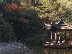 -敬亭山风景名胜区