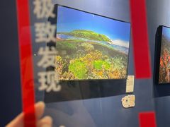 -福州海峡文化艺术中心