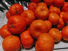 -邵汇大虾(甘井子万达店)