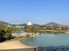 -上海佘山世茂艾美酒店