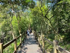 -广州白江湖森林公园