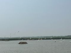 -南大港湿地风景区