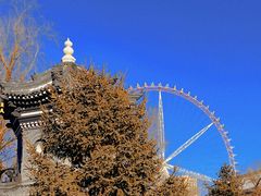 -哈尔滨极乐寺