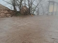 -紫金山索道-售票处