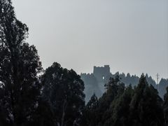 -原山国家森林公园