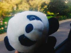 -川西坝子(老军营店)