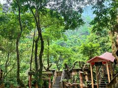 -天门沟九州驿站树上汤泉