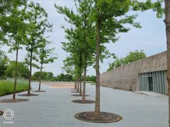-上海山野camping·户外天幕烧烤·团建拓展营地