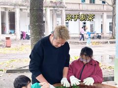 -美的鹭湖森林度假区