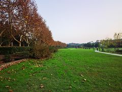 -宜兴龙背山森林公园