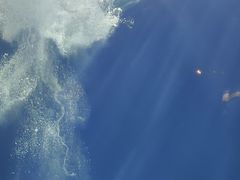-大连圣亚海洋世界