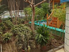 -南宫五洲植物乐园